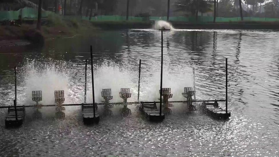 భీమవరం పట్టణం