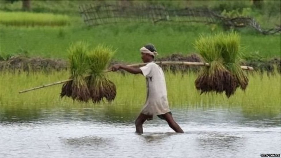 వ్యవసాయం, రైతులు వ్యవసాయం, రైతులు