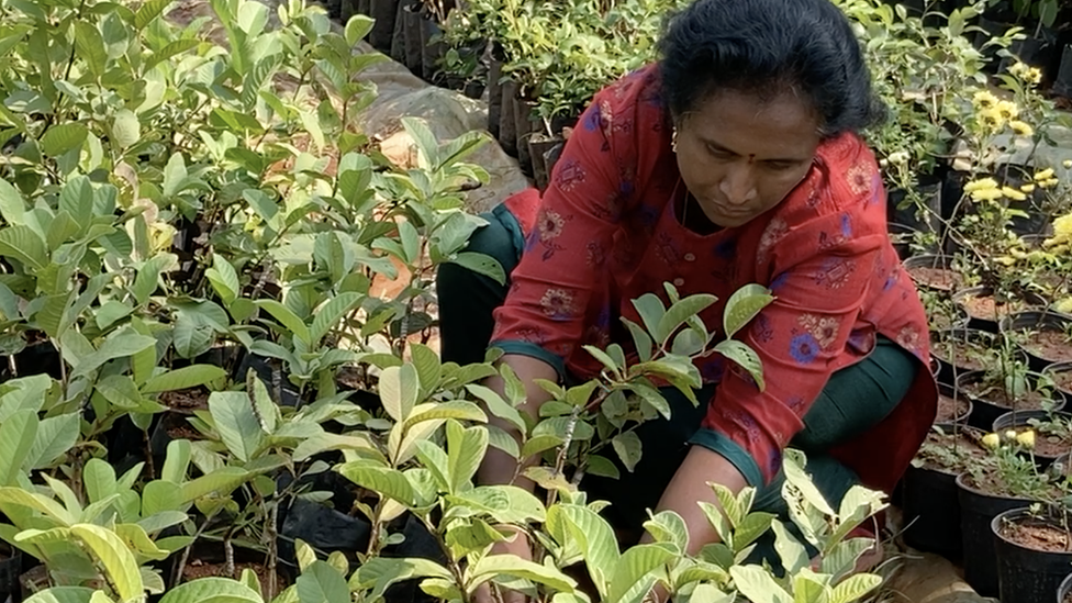 అమేయ కృషి వికాస కేంద్రం, జ్యోతి అమేయ కృషి వికాస కేంద్రం, జ్యోతి