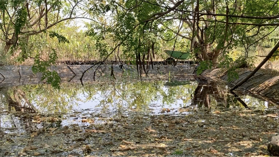అమేయ కృషి వికాస కేంద్రం, బాల్ రెడ్డి అమేయ కృషి వికాస కేంద్రం, బాల్ రెడ్డి