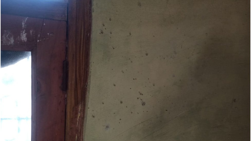 బావన్ఘేడి