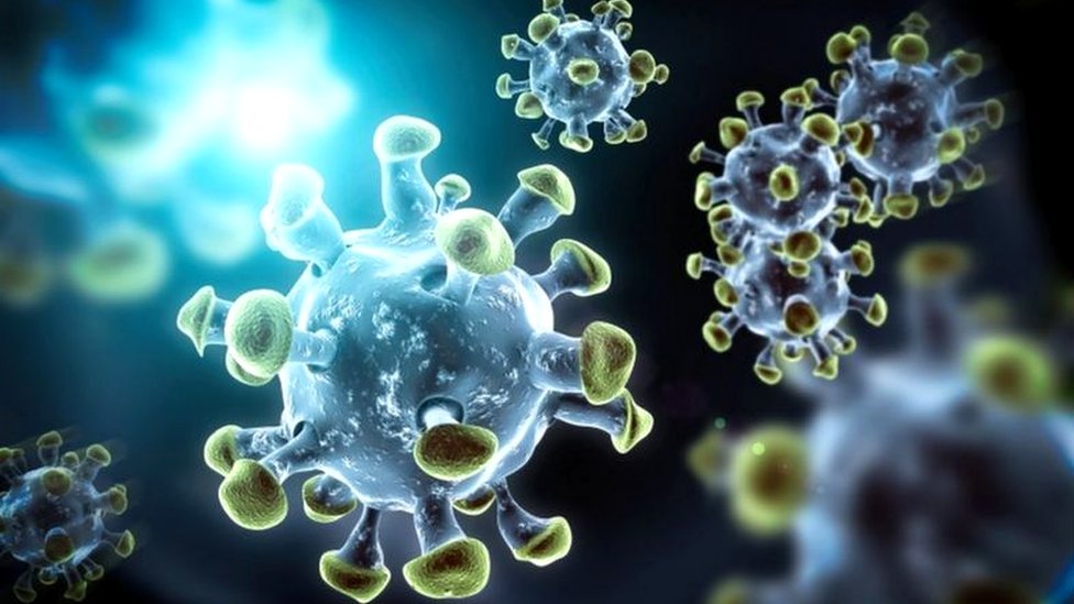 కరోనావైరస్