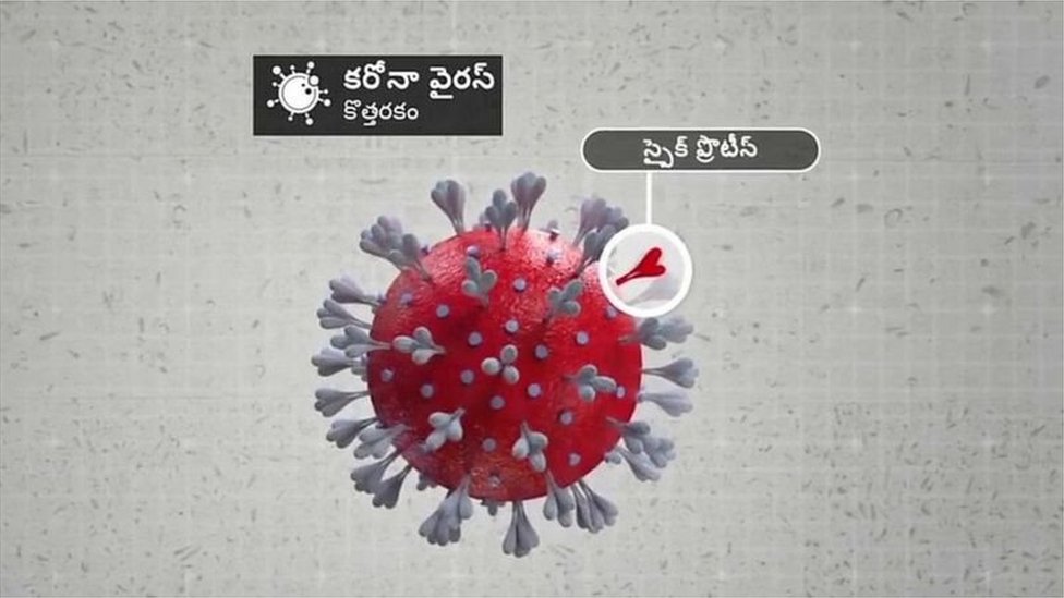 కరోనా వైరస్ కరోనా వైరస్