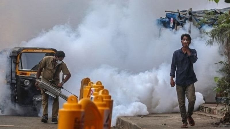 బ్లాక్ ఫంగస్ మొక్కలు, కుళ్లిన పదార్ధాలతోపాటు ముక్కులోని శ్లేష్మంలో కూడా వృద్ధి చెందుతుంది. బ్లాక్ ఫంగస్ మొక్కలు, కుళ్లిన పదార్ధాలతోపాటు ముక్కులోని శ్లేష్మంలో కూడా వృద్ధి చెందుతుంది.