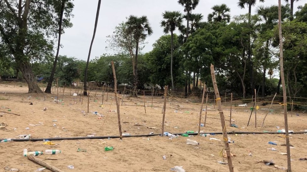 ఆనందయ్య మందు