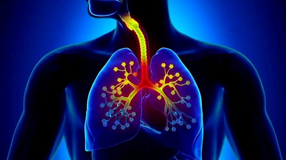 బ్లాక్ ఫంగస్