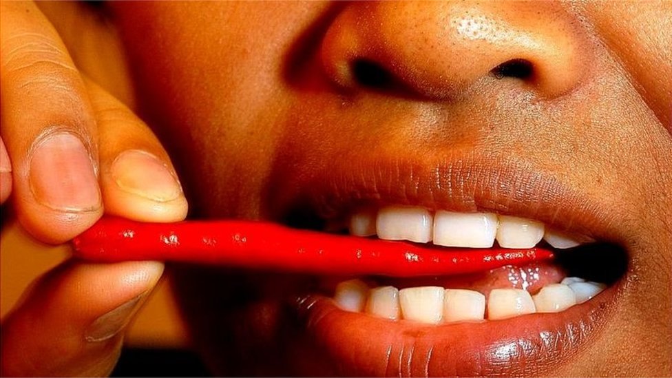 రాజా మిర్చా