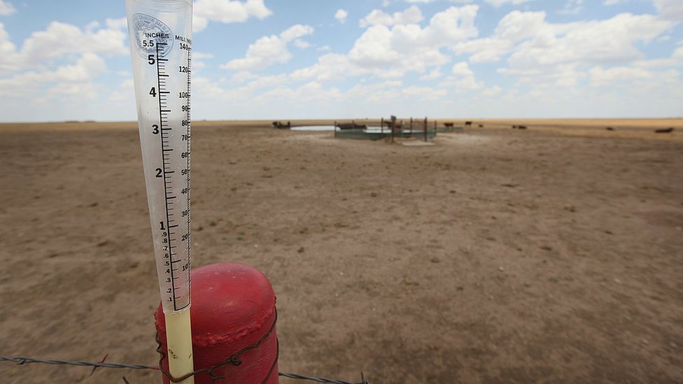 రెయిన్ గేజ్