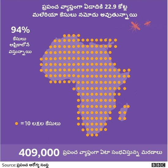 మలేరియా