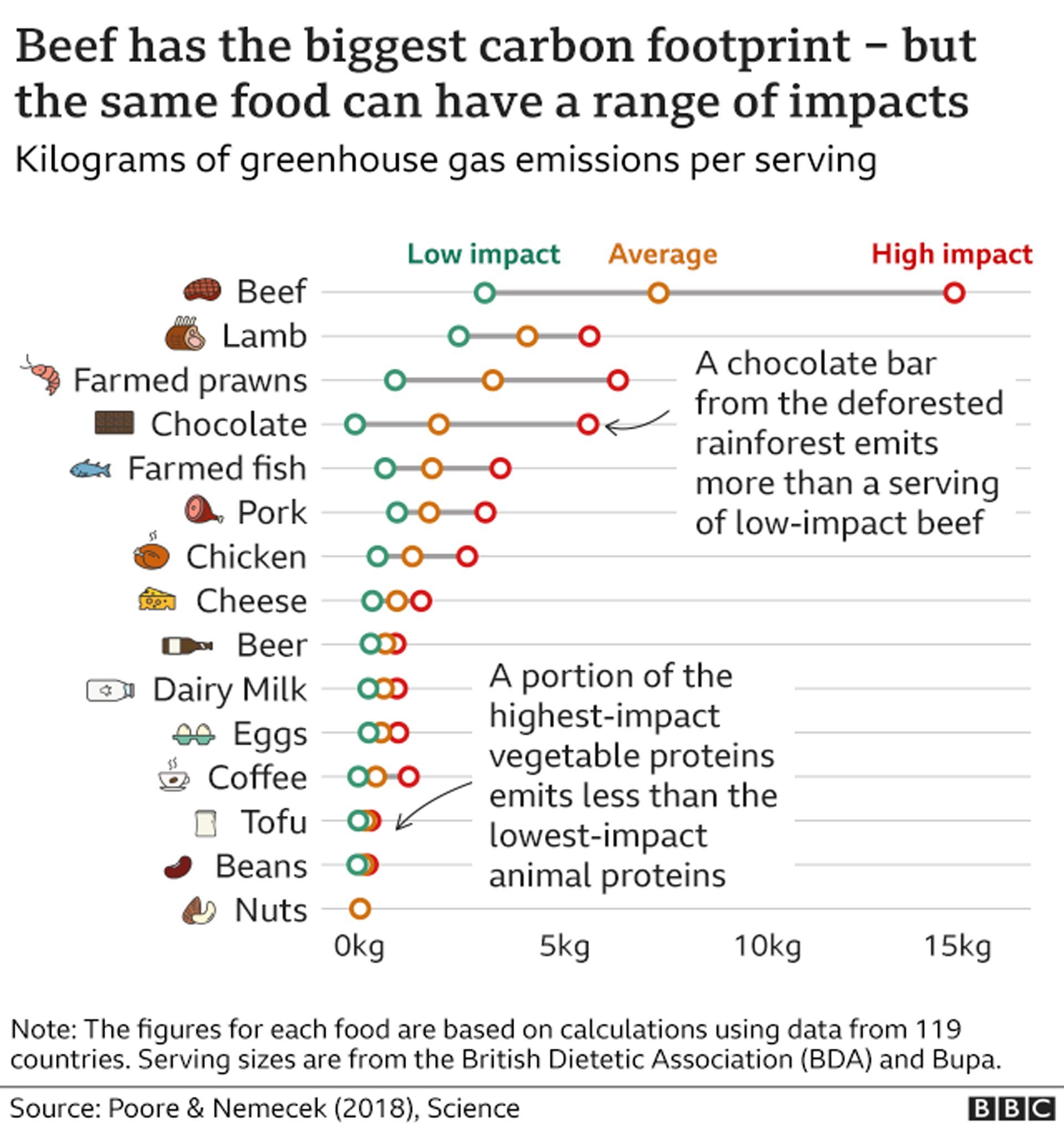 carbon footprint