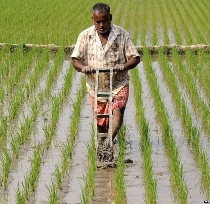 వ్యవసాయ చట్టాలు