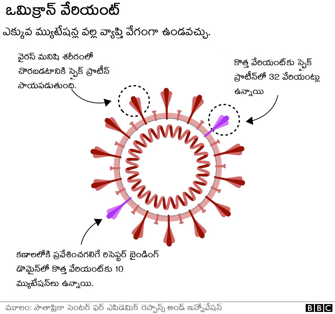 అధిక మ్యుటేషన్ల వల్ల వ్యాప్తి ఎక్కువగా ఉండొచ్చు