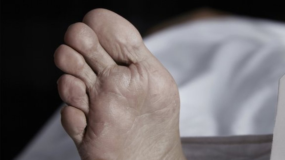 మృతదేహం