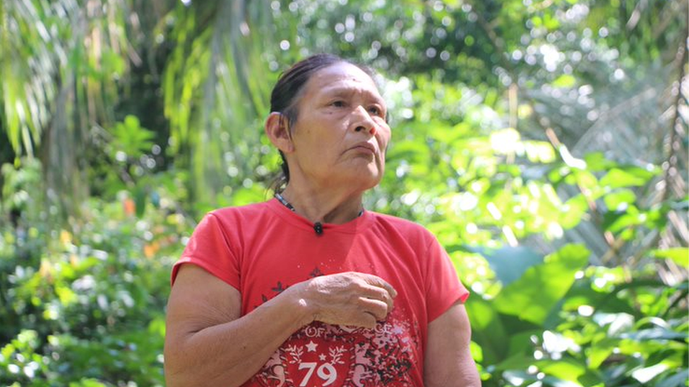 స్మగ్లర్లు, ఆక్రమణదారులు తమ తెగలో మిగిలి ఉన్న ముగ్గురినీ చంపేస్తారని ఆందోళన వ్యక్తం చేస్తున్నారు.