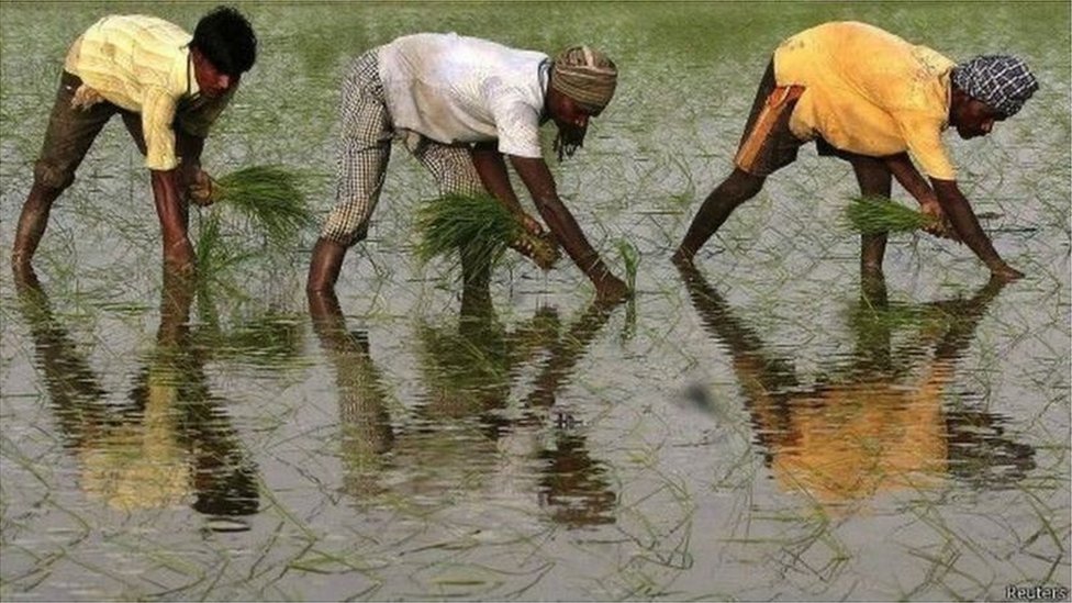 రైతుల మేలు కోసం ప్రభుత్వం ఏళ్ల తరబడి ఎంఎస్‌పీ విధానాన్ని పాటిస్తోంది.