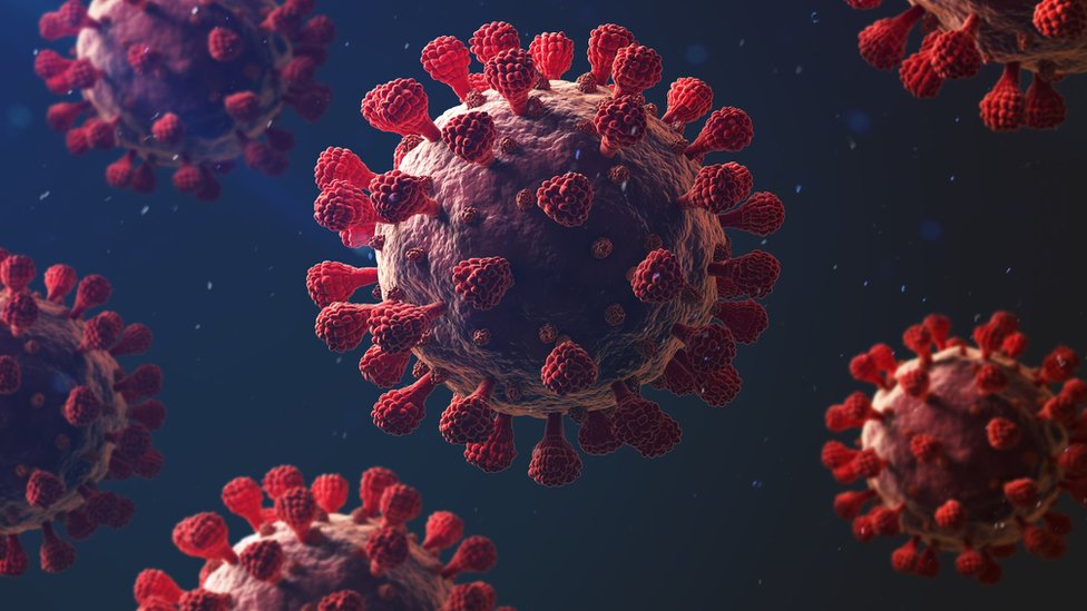 కరోనావైరస్