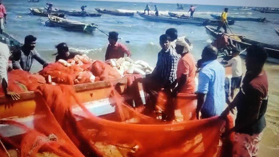 రింగు వలల వివాదం