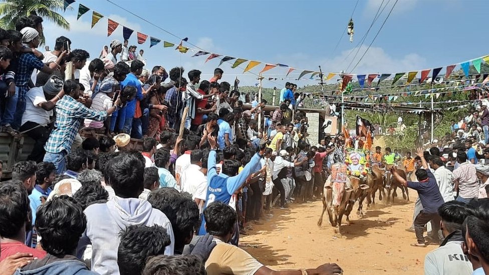 చిత్తూరులో జల్లికట్టు వేడుకలు చిత్తూరులో జల్లికట్టు వేడుకలు