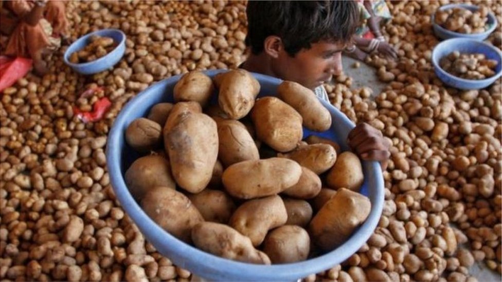 బంగాళాదుంప