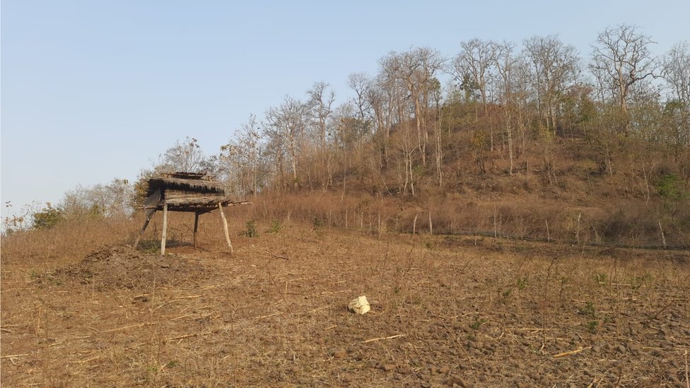 ఇదే కొండపై భీమ్‌ను కాల్చి చంపారు