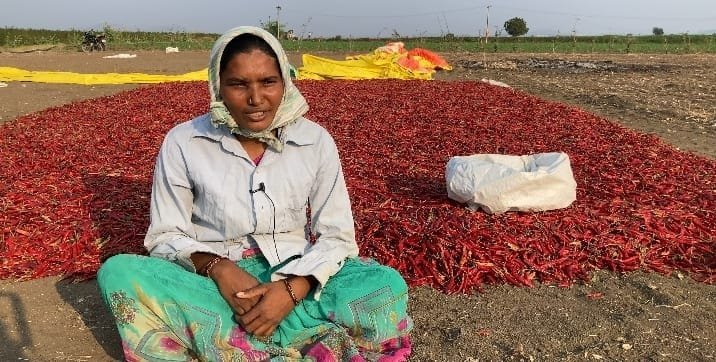 మిర్చిపంటలో తీవ్రంగా నష్టపోయానంటున్న కౌలు రైతు గుగులోత్ మల్లీశ్వరి మిర్చిపంటలో తీవ్రంగా నష్టపోయానంటున్న కౌలు రైతు గుగులోత్ మల్లీశ్వరి