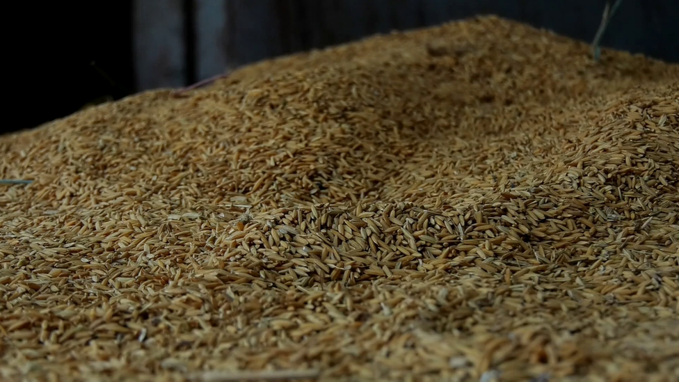 ధాన్యం ధాన్యం