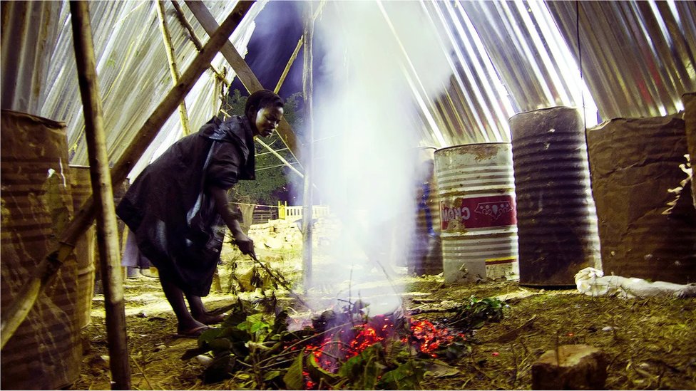 ఉగాండా రాజ‌ధాని కంపాలాలో వీధి వ్యాపారులు గ్రాస్ హాప‌ర్స్‌ను ప‌ట్టుకోవ‌డానికి పొగ‌ వేస్తారు