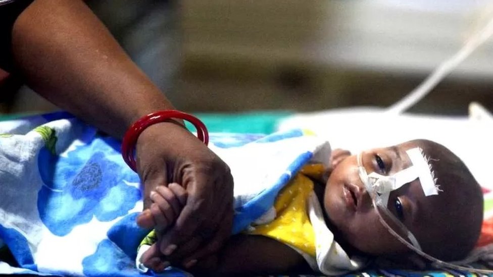 డయేరియా డయేరియా