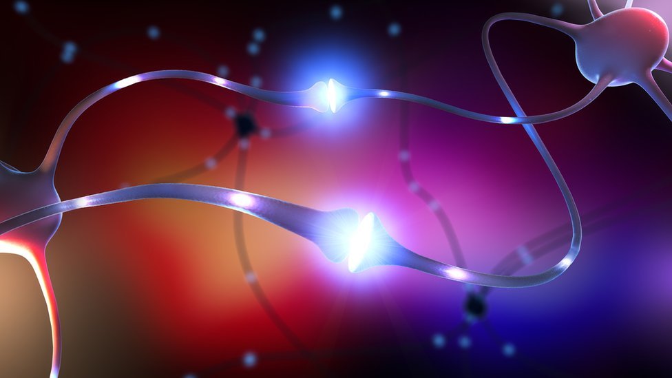 డోపమైన్ ఫాస్టింగ్