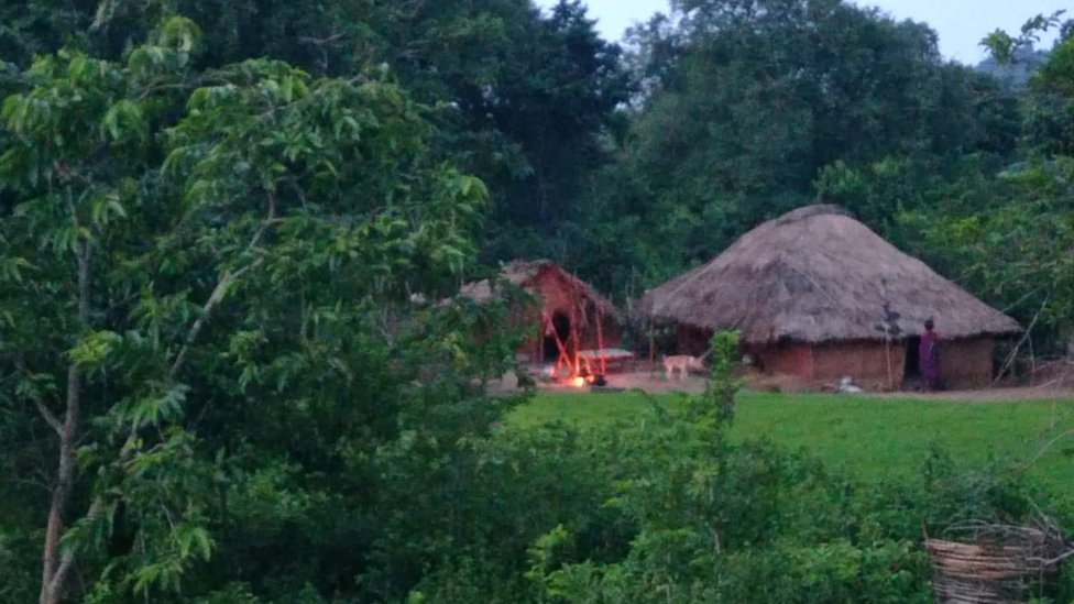 బూరుగు బూరుగు