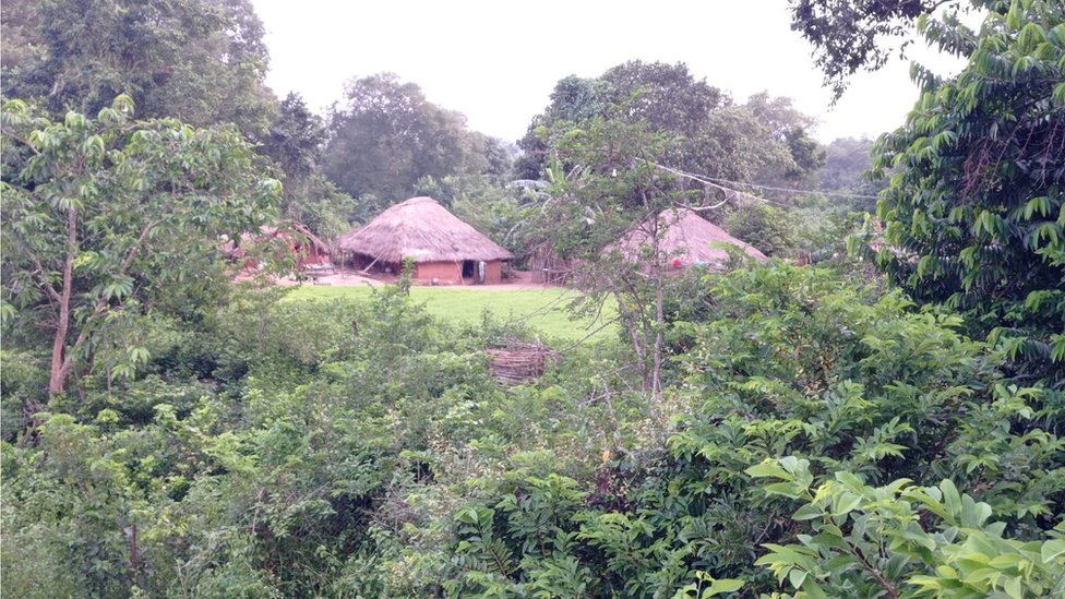 బూరుగు బూరుగు