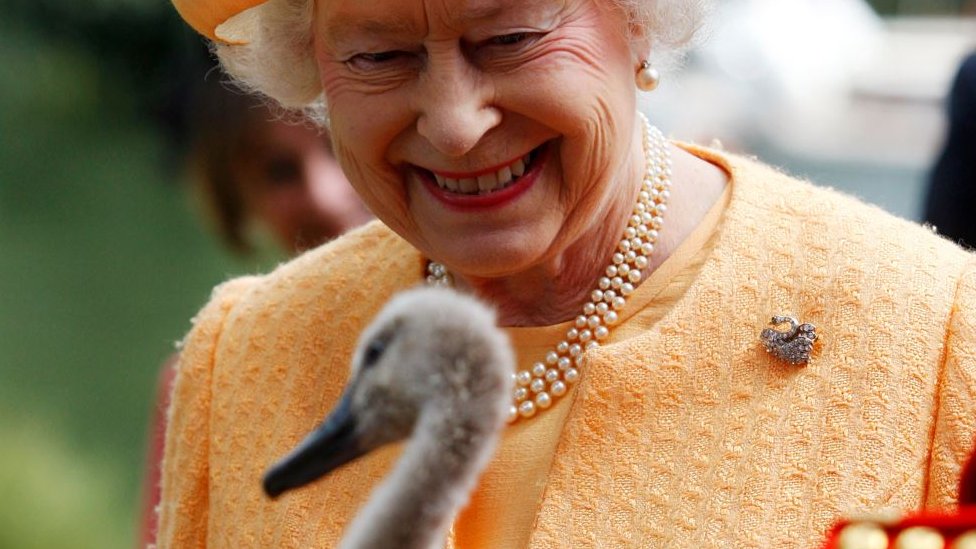 క్వీన్ ఎలిజబెత్ 2 క్వీన్ ఎలిజబెత్ 2