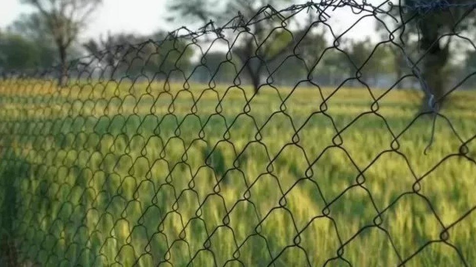 సరిహద్దు దాటకముందే అన్సారీని, పాక్ రేంజర్లు అరెస్ట్ చేశారు