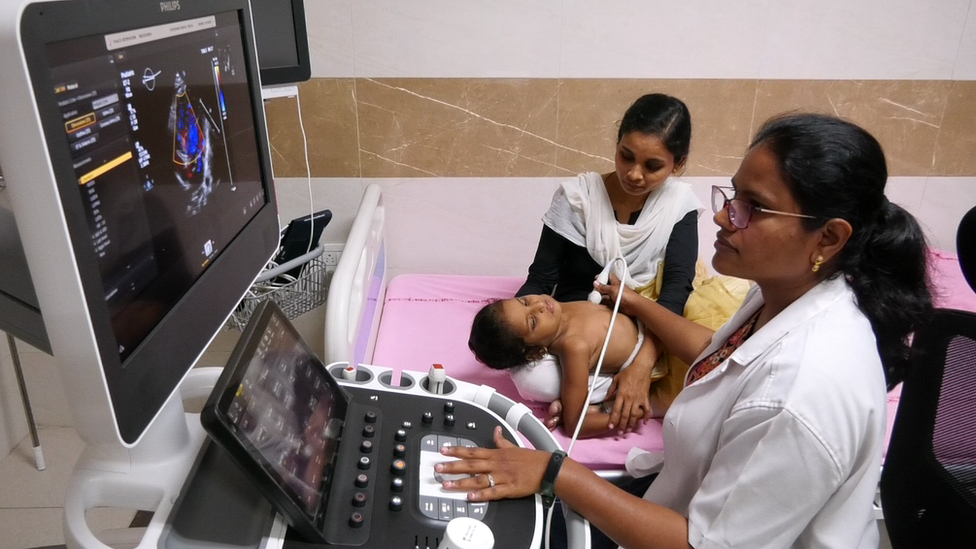 బర్డ్స్