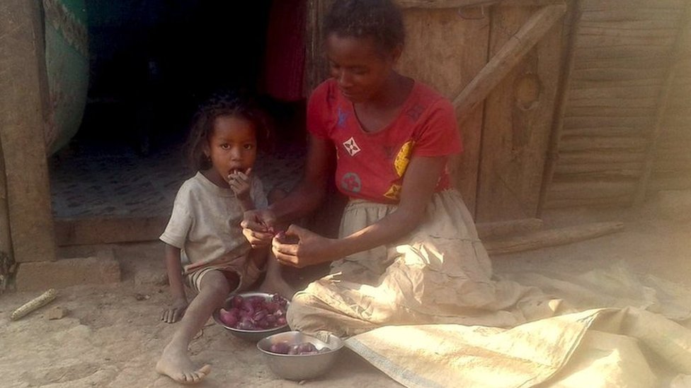 ఫెఫినియాయినా ఫెఫినియాయినా