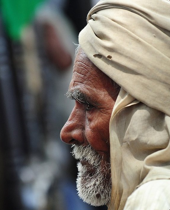 వ్యవసాయం