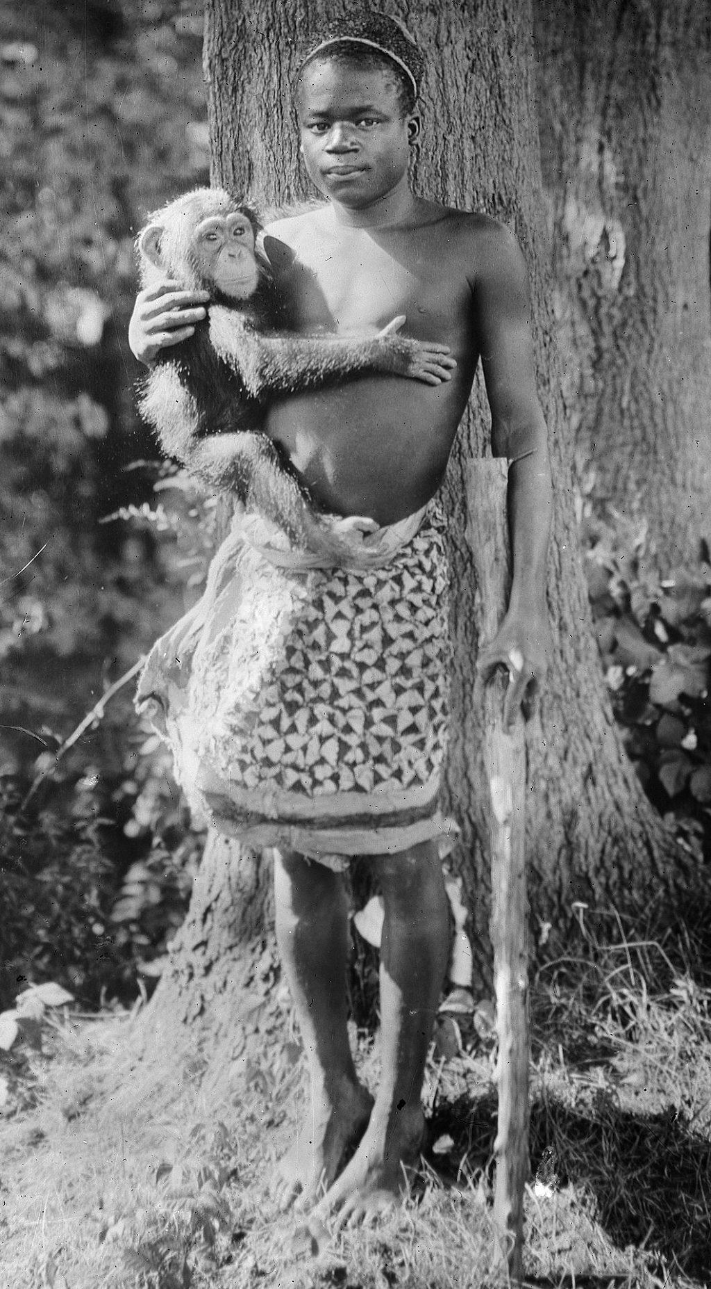 ఒటా బెంగా ఒటా బెంగా