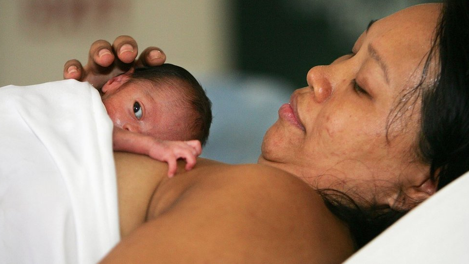 కంగారూ కేర్