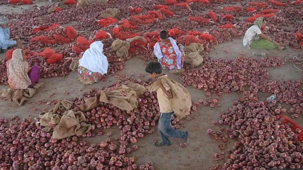 పాకిస్తాన్‌లో కొండెక్కిన ఉల్లి ధర