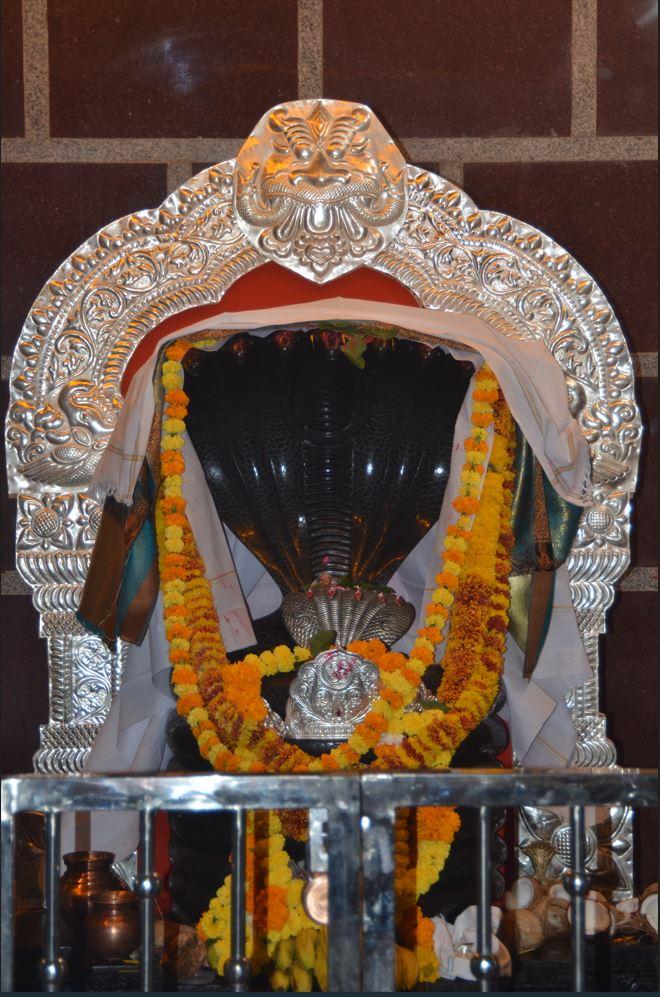 నాగోబా నాగోబా