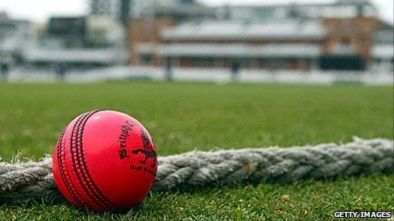 క్రికెట్ క్రికెట్