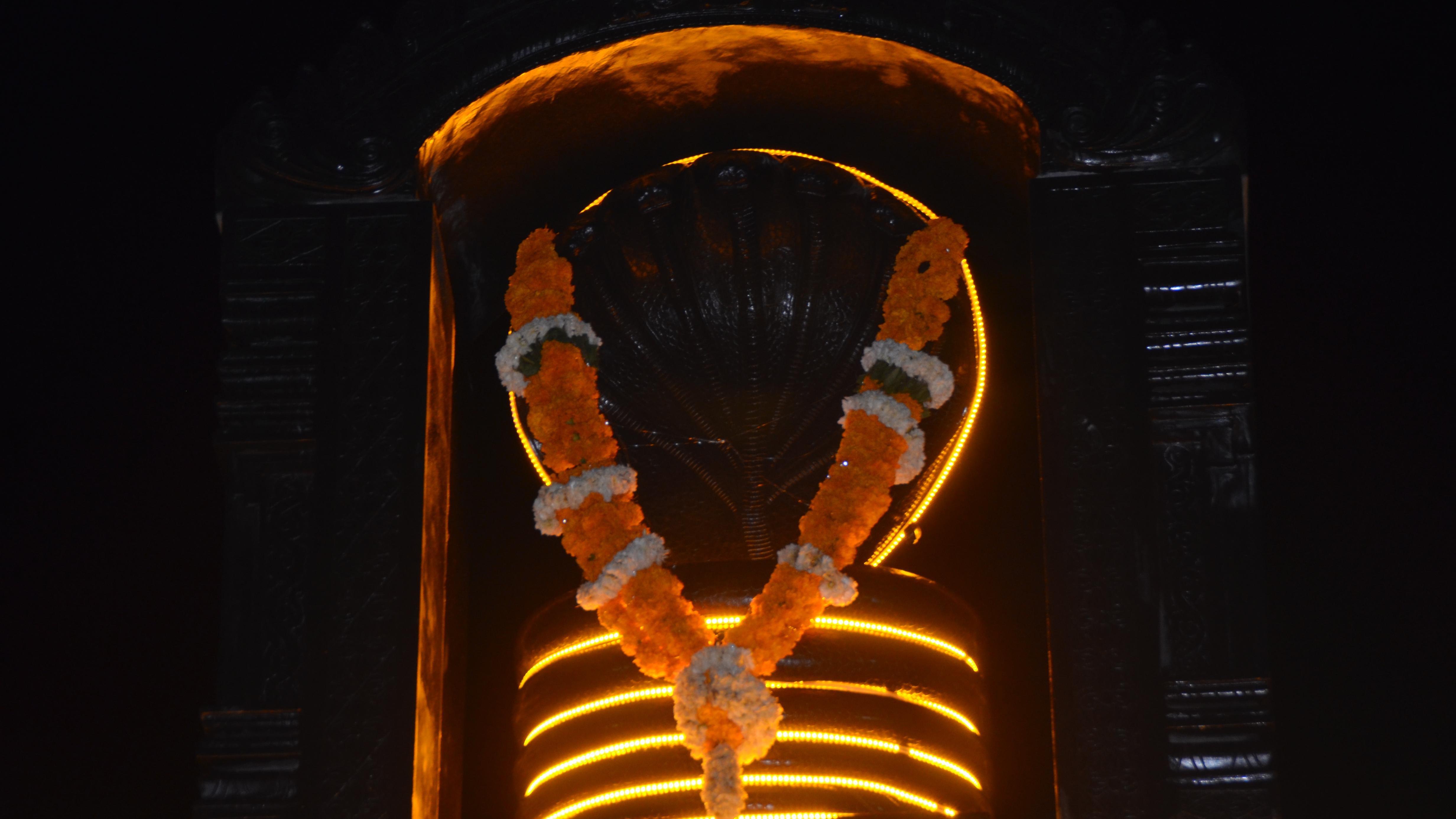 నాగోబా నాగోబా