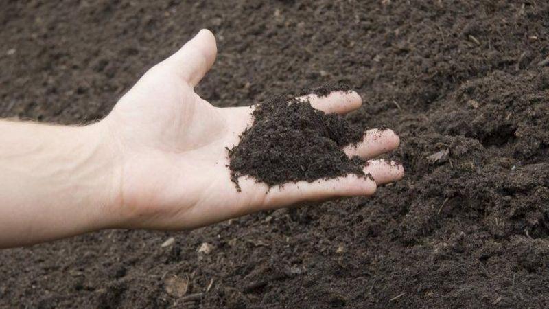 హ్యూమన్ కాంపోస్టింగ్