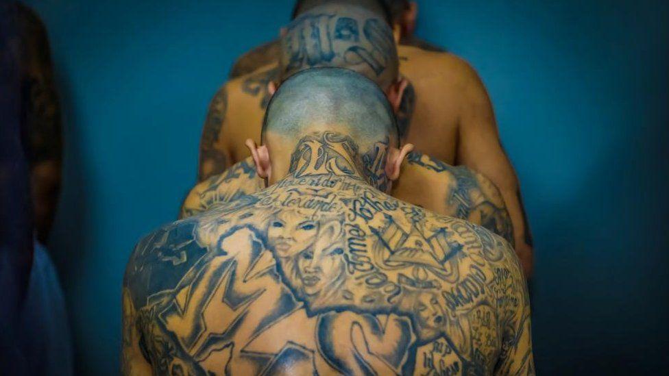 ఎల్ సాల్వడార్‌లో అరెస్టయిన అనుమానితులు