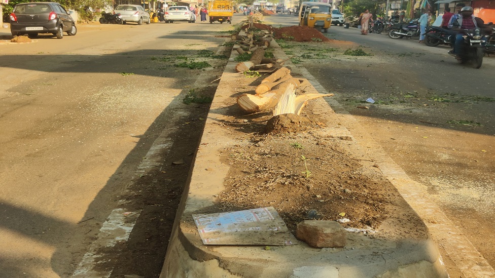 చెట్ల నరికివేత