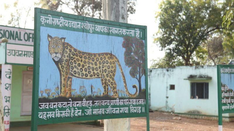 కూనో అభయారణ్యం