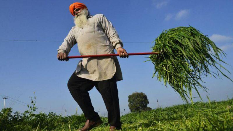 అమృత్‌పాల్ సింగ్