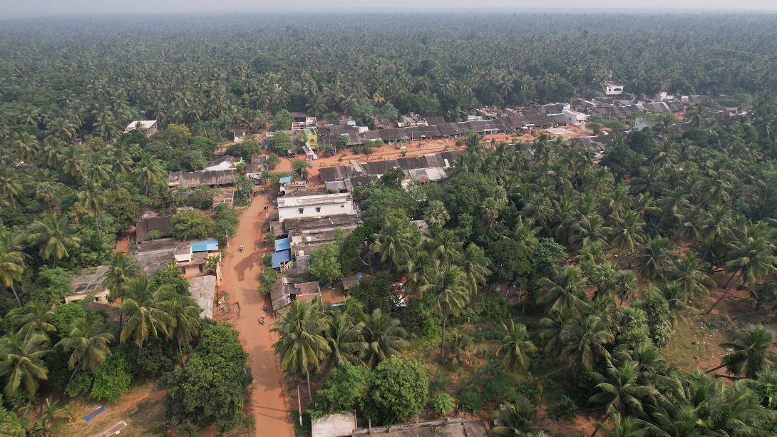 ఉద్దానం ఉద్దానం