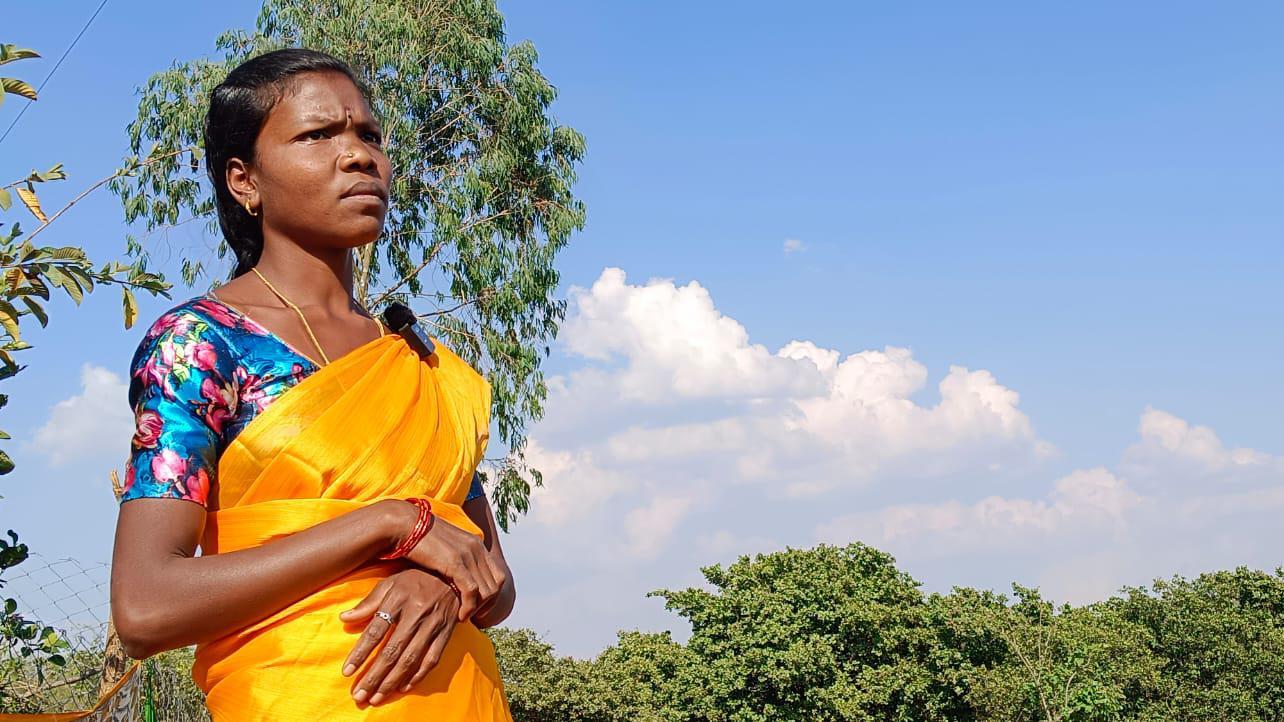 జమ్మే జమ్మే