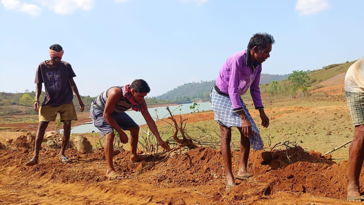 తోటగొడిపుట్ తోటగొడిపుట్